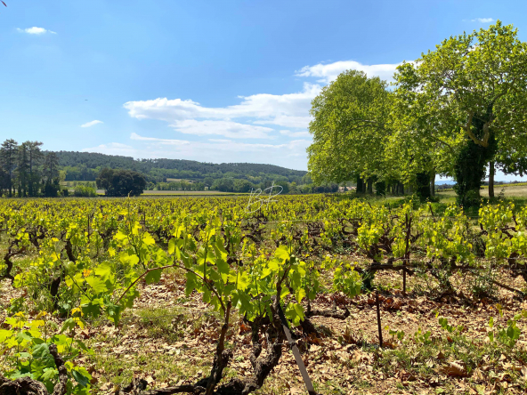 ChateauDomaine_842_1 (13)